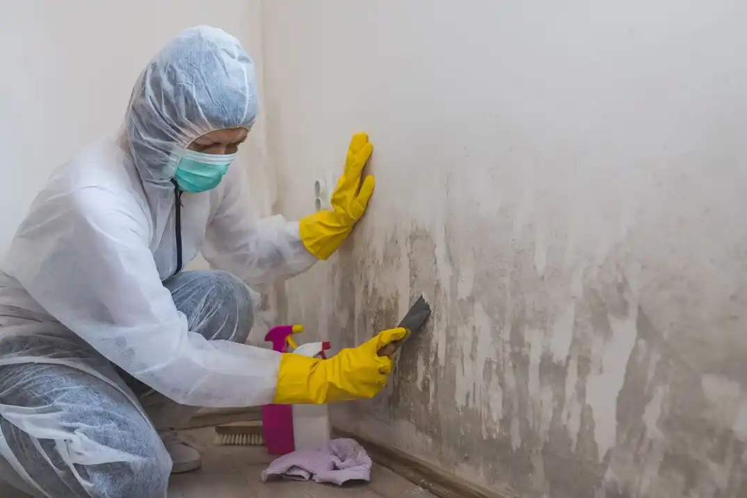 water damage restoration service Ott-Chrisman